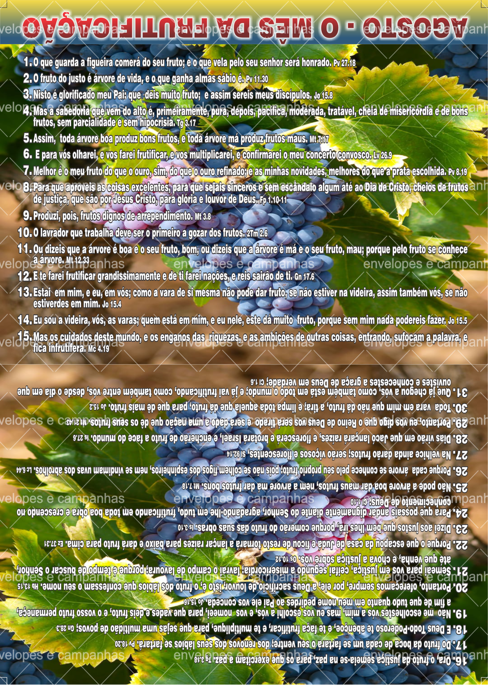 Cartão Agosto - O Mês da Frutificação