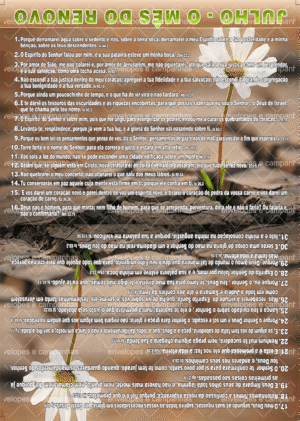 Cartão Julho - O Mês do Renovo 2