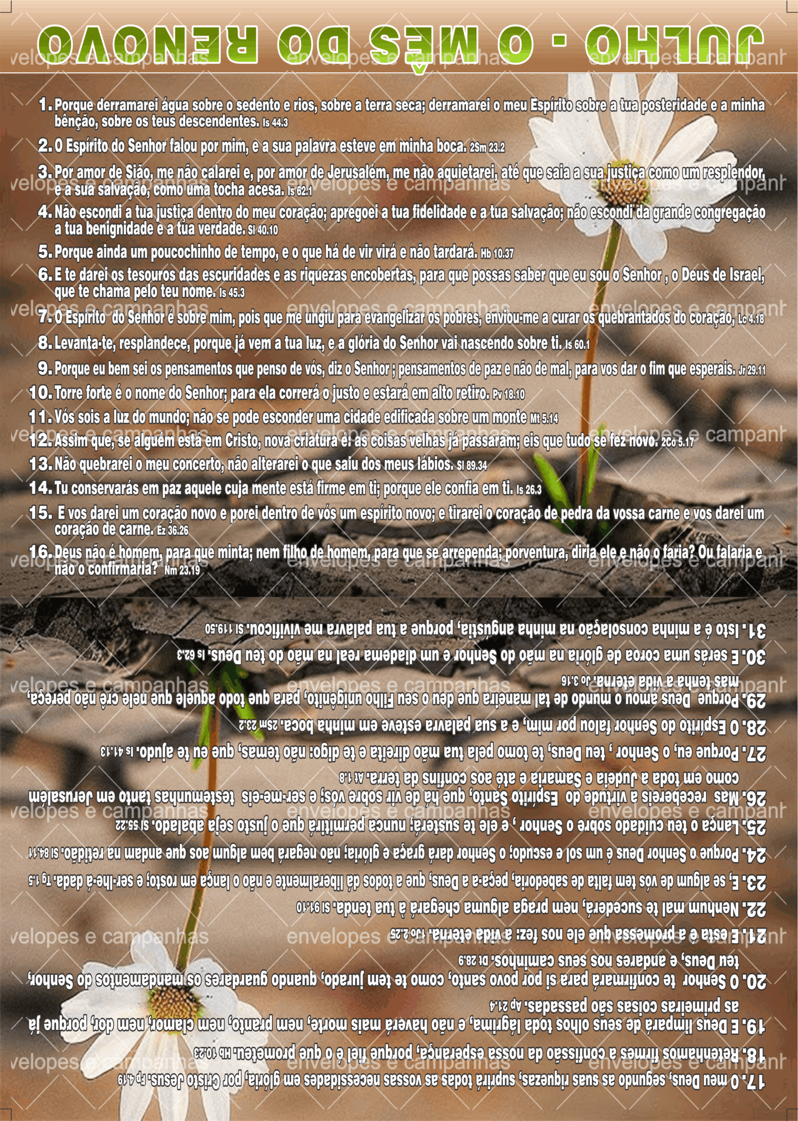 Cartão Julho - O Mês do Renovo 2