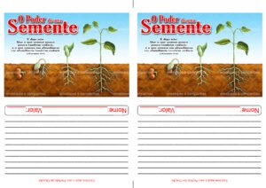 Envelope O poder de uma semente (2 numa folha A4)